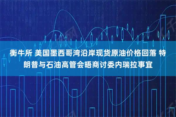 衡牛所 美国墨西哥湾沿岸现货原油价格回落 特朗普与石油高管会晤商讨委内瑞拉事宜