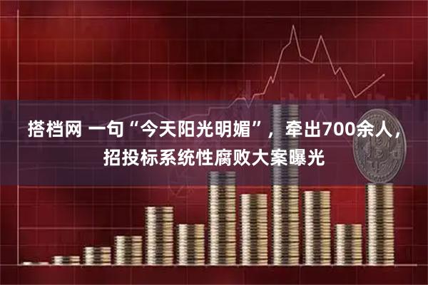 搭档网 一句“今天阳光明媚”，牵出700余人，招投标系统性腐败大案曝光