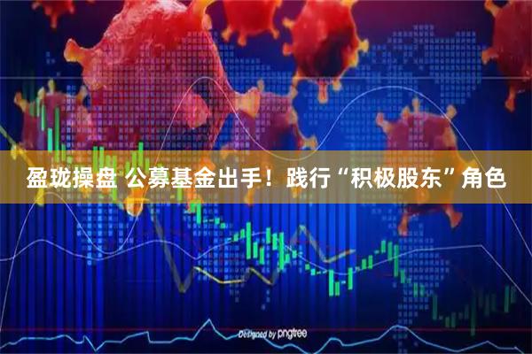 盈珑操盘 公募基金出手！践行“积极股东”角色
