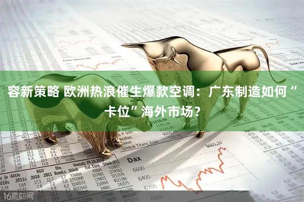 容新策略 欧洲热浪催生爆款空调：广东制造如何“卡位”海外市场？